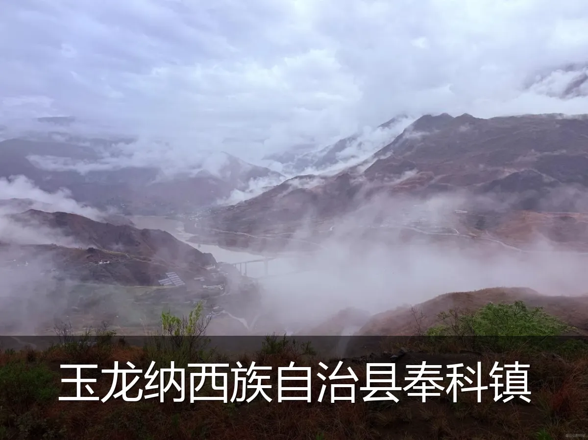 玉龙纳西族自治县奉科镇
