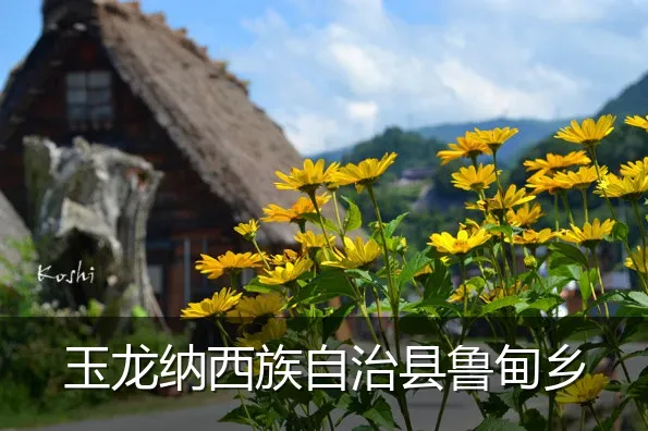 玉龙纳西族自治县鲁甸乡
